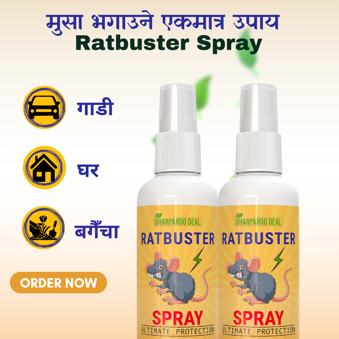 Ratbuster Spray - Your Defense Against Rat Infestations